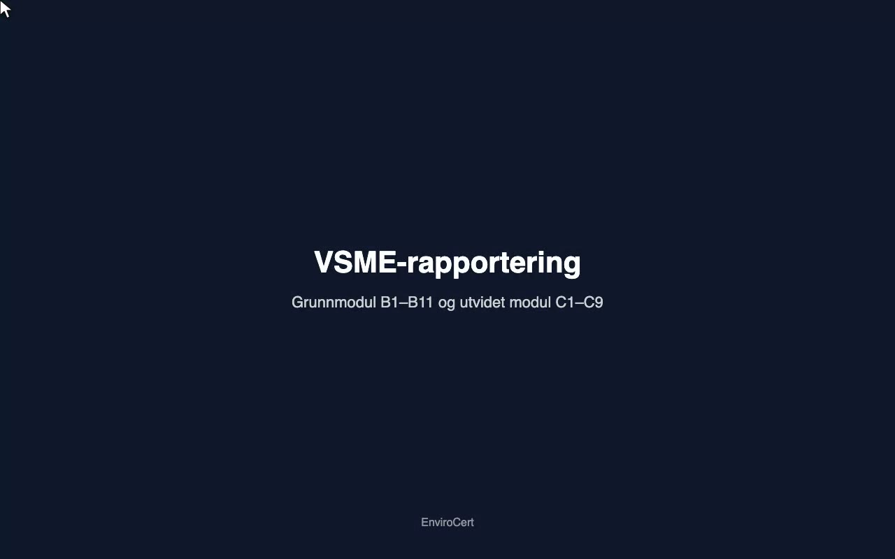 VSME-rapportering